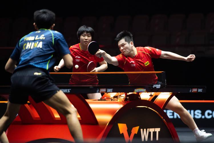 中国vs中国澳门乒乓球